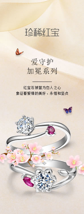 愛守護加冕系列